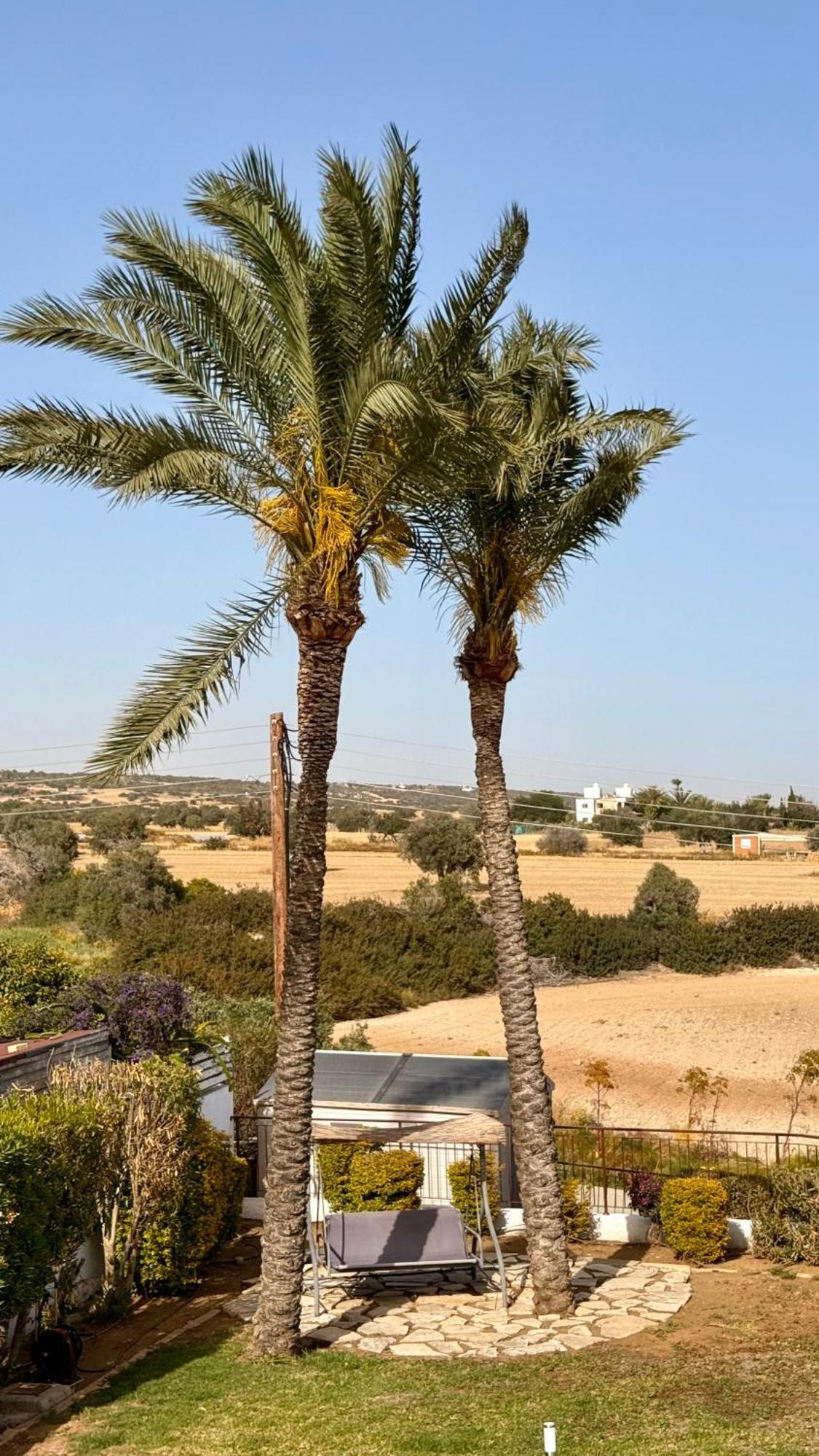 Villa Hera Agios Theodoros Eksteriør bilde